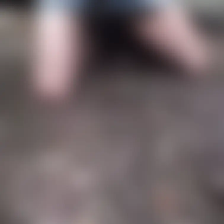 見えそうで見えない