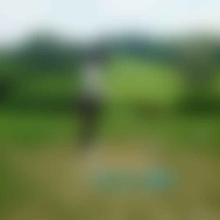 たまには健全なゴルフの写真でも・・・💕