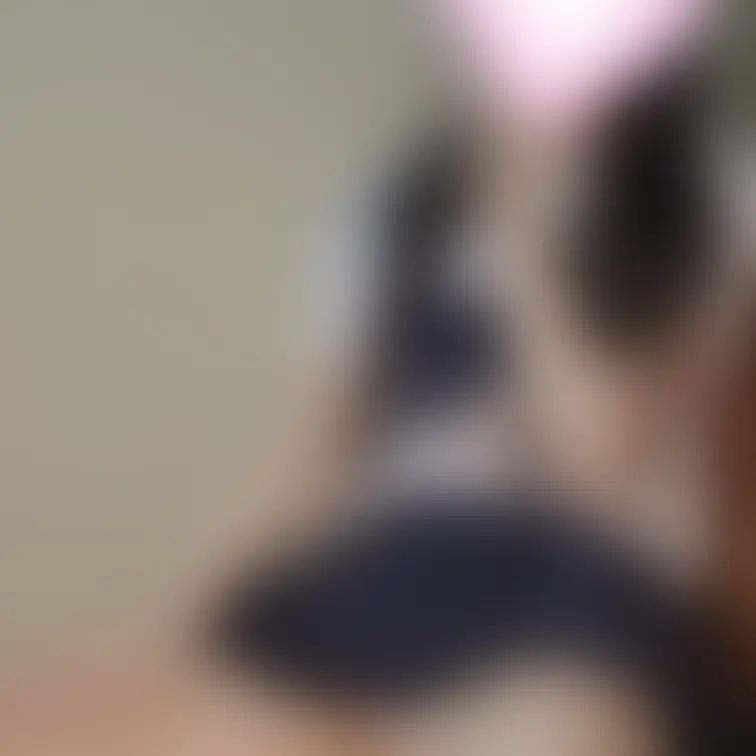 夏休み中にえっちなオナニー動画いっぱい撮ろうと思ってます🥰
あと夏休み中にえちえちプランに加入してるファンの方とえっち