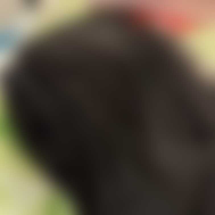 5月の29日
僕は明日、生物のテストです､、、、🥺

今日のはなんかついてますね笑笑