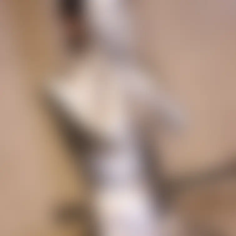 【あの超かわいいアイドル級美女のセクシー銀粉メッシー】
 これまで数回色々なメッシーに挑戦してきてくれたアイドル級の美
