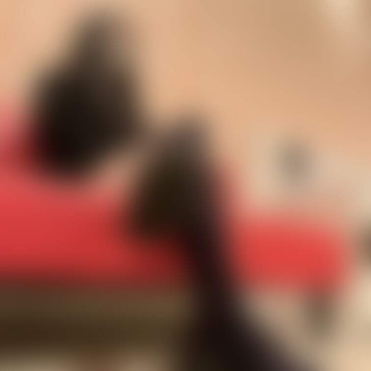 りり/25歳/キャバ嬢🍷 ①
 ディルドに足コキ
 
 足のサイズ：23cm