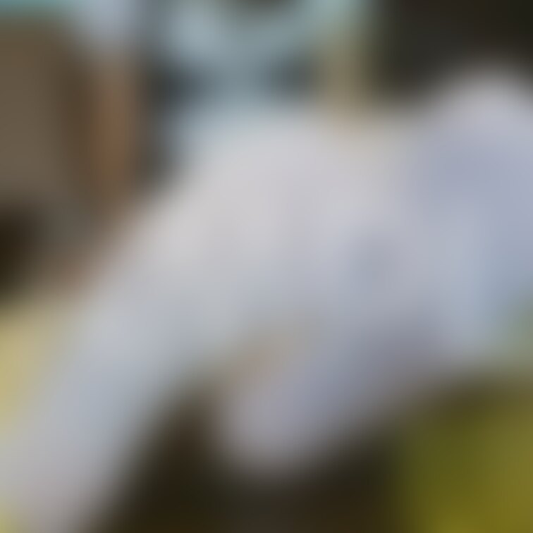 サンプル