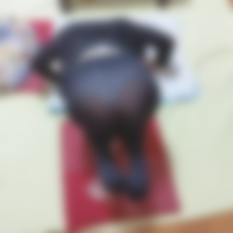 大きいおしりの続き
この光沢がたまらないですよね！