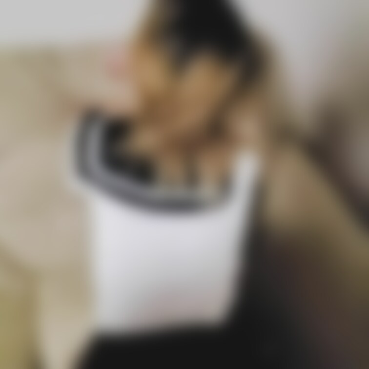 単独さんからのプレゼント動画⑯
これがラストです。

途中妻ちゃんがごめんねって言ってるのは、生挿入させたことに対