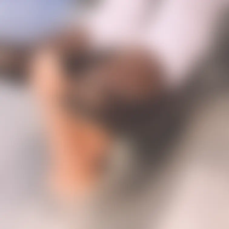 【前編】ローファーでディルドを足コキしてひたすらこねくり回してみました👣ルーズソックスでもシコシコ、生足でもシコシコ、最