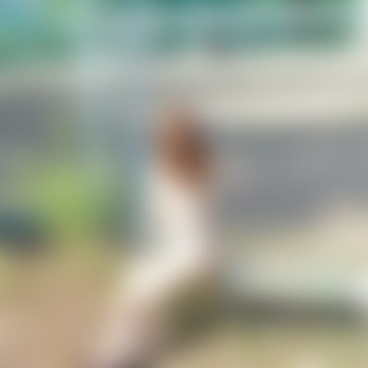 ヌーディマイクロビキニTバック
野球のグランドで、後から見るとほぼ裸ですね。