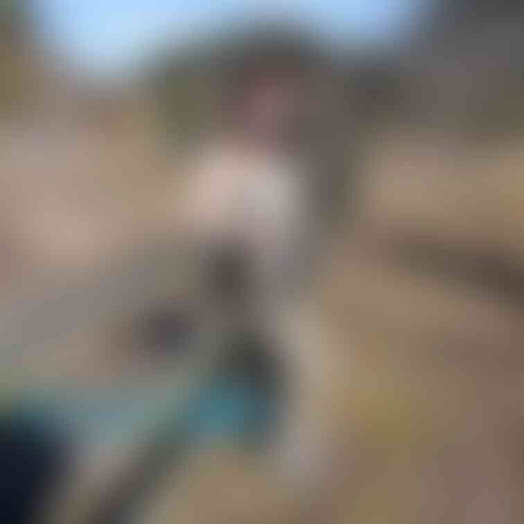 過去の削除写真の再投稿です。(2023年2月投稿)
ミリタリーシリーズ・・・②