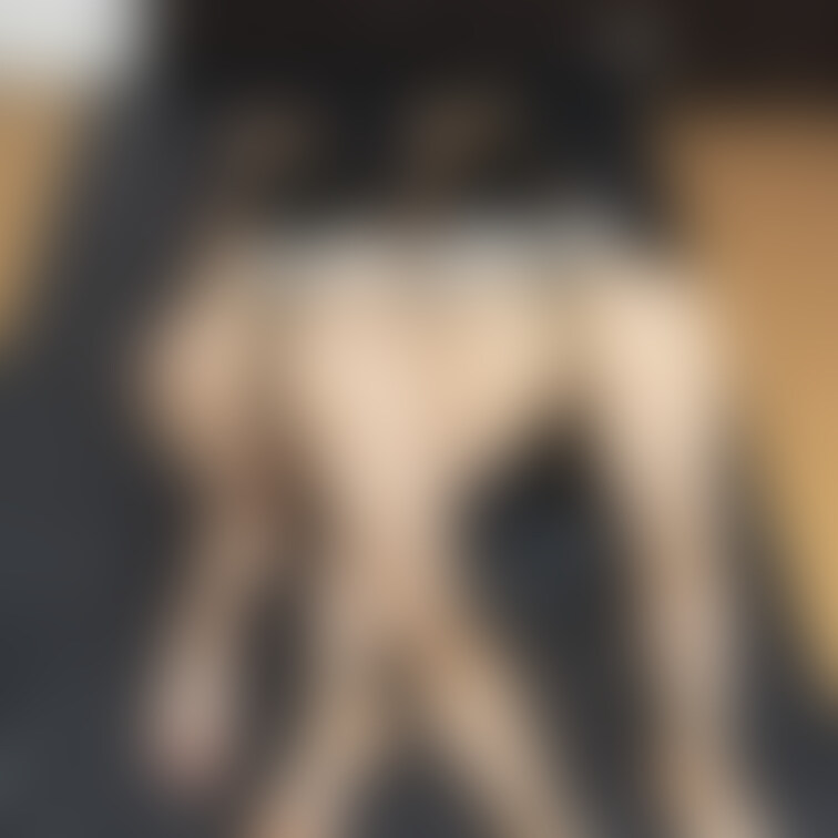 元祖覆面講師の新作ジャケット候補の写真
キワを攻めてみました