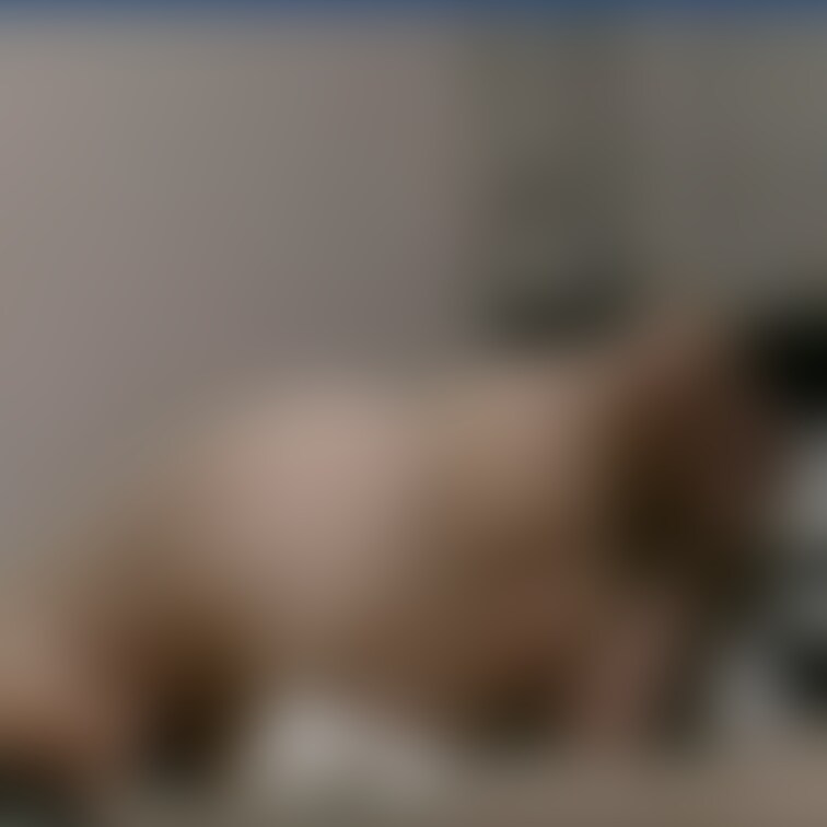 🎀【クラッシック】ドM女性、逆エビ鼻フック・ムチ○○○
ドM女性を逆エビで縛り上げ、おもいっきり鼻フックで鼻を吊り