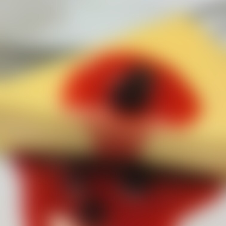 マイファンズさんか
イラストがある投稿だめになったみたいですね
画面にアバターが映ってているのもだめなのかな