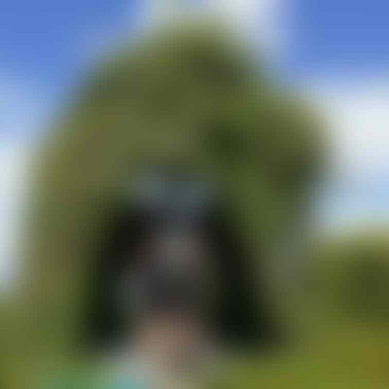 X(Twitter)の寝取られ夫婦さんとコラボ撮影、美人人妻の公園露出コラボはどうですか?