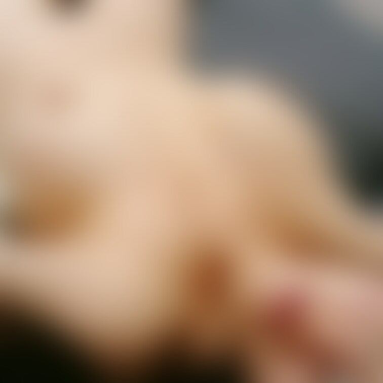 今日のおっぱぃ