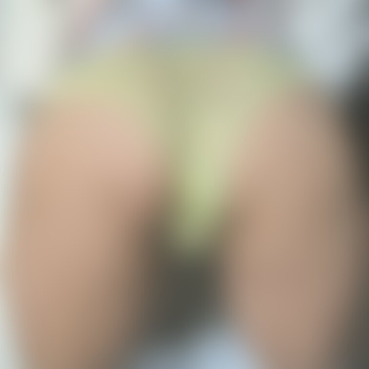 今日の一枚