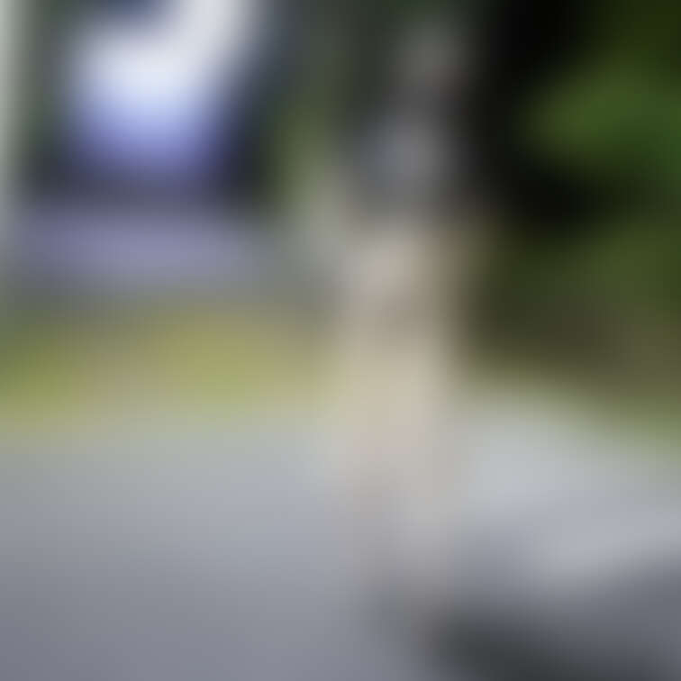 似てるから没にした画像🙄