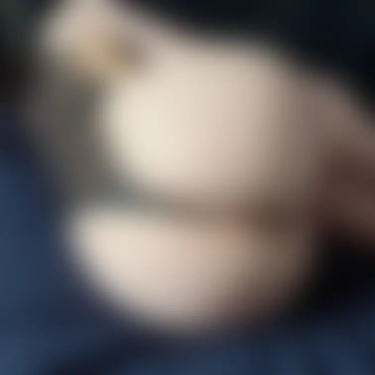 コスで丸まったのちょっと違うアングルから😘