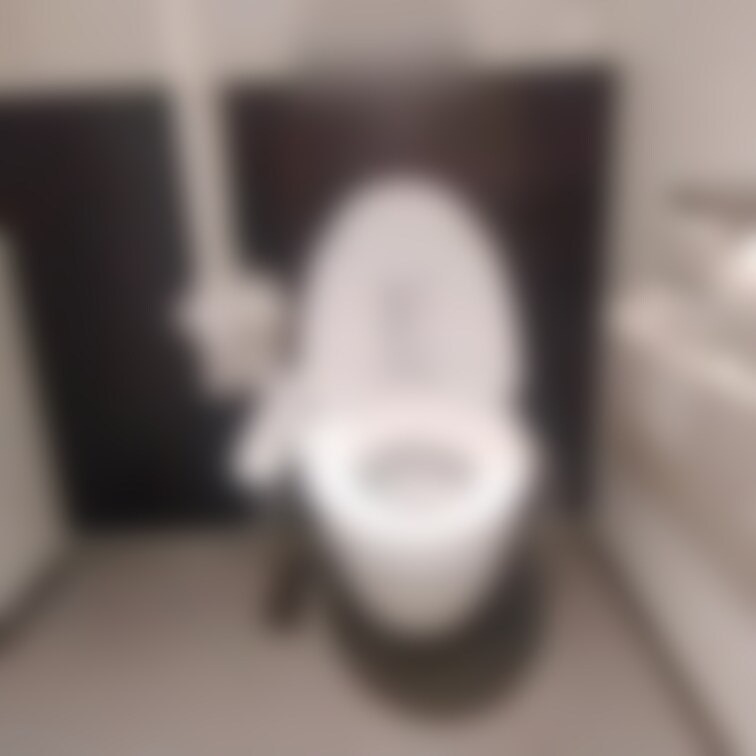 公衆○○○でオナニー♡