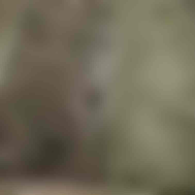 野ション跡がはーと