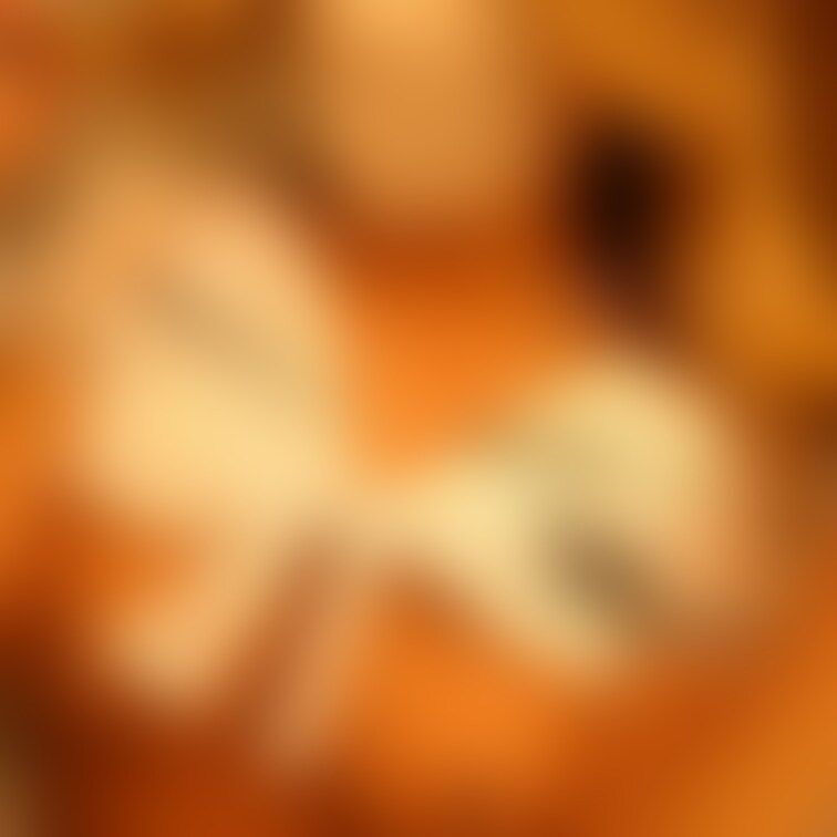 おはよん🤍
今日から3月‼️
毎月あっという間だな🙄
今月もよろしくね🥹💖

さちパイとさち尻で
今日も1日