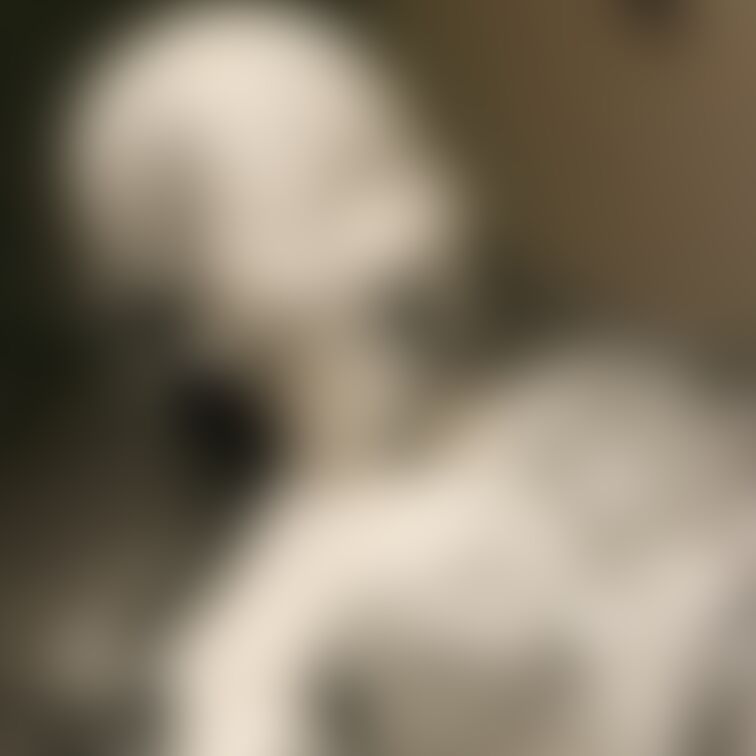 【美少女ペイントメッシー】
 可愛い女の子がペイント塗れになってくれました！何度も頭からペイントを被ってくれる姿は圧巻