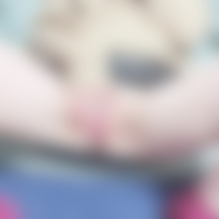 、、、///