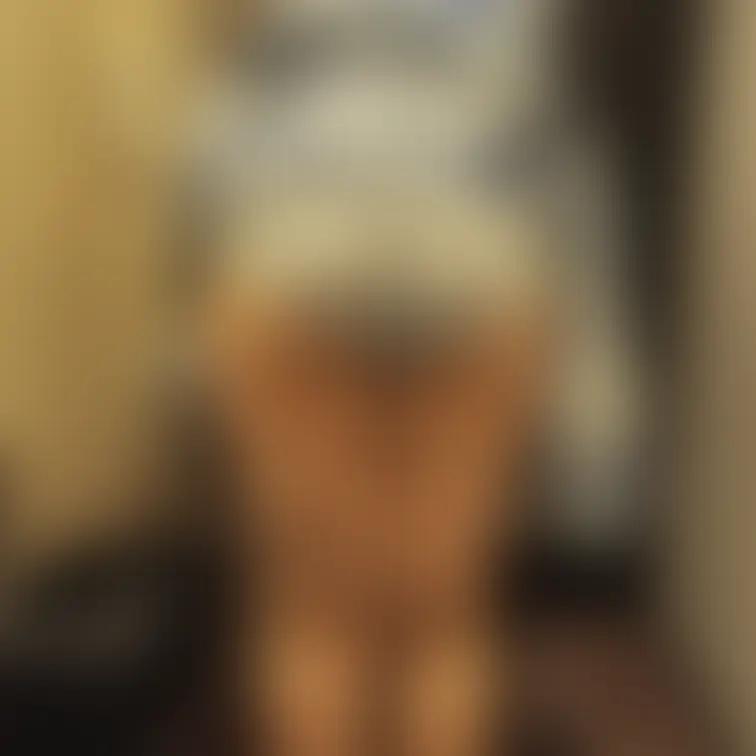お尻写真5です