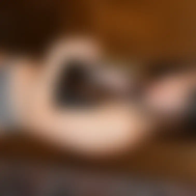 結局おとこの人ってブラ何色が好きなん😐