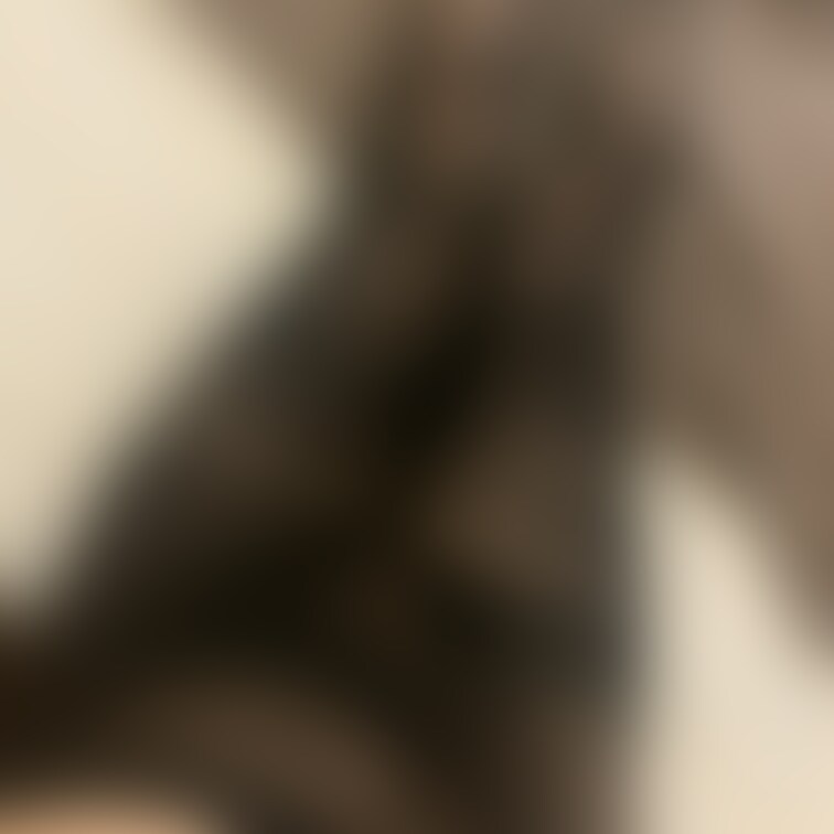 好きな人は好きですよね🫣
