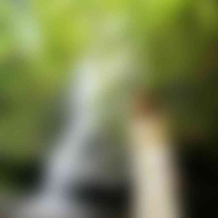 素敵な滝に行ってきました！！
服着た写真でも需要ありますか？