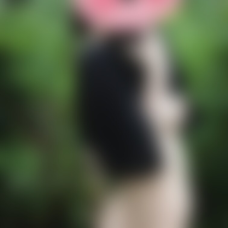 お庭のある豪邸