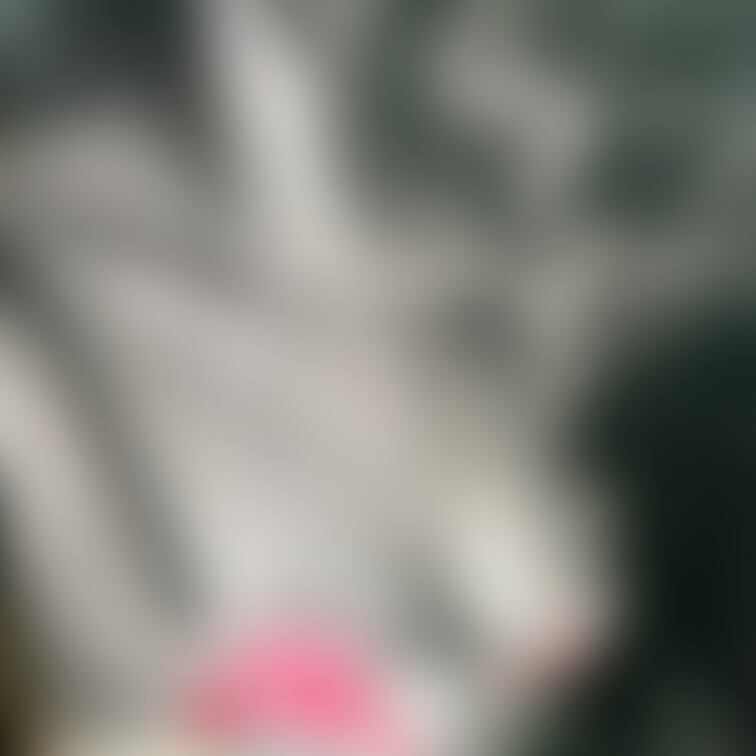 たまには肌色モノトーンで( ¯﹀¯ )