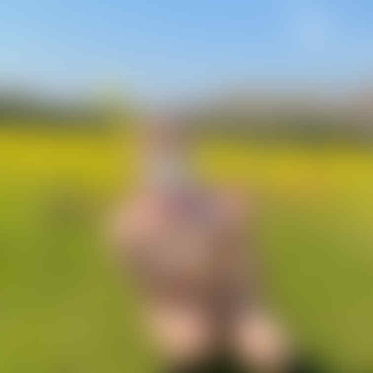 Xにポストした写真です😊