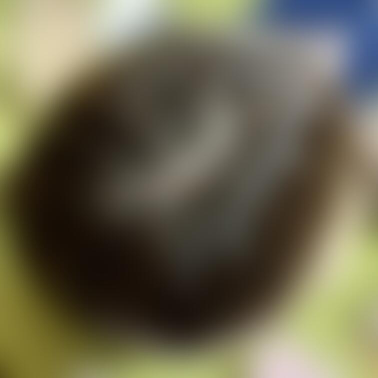 つやっ艶🥺💕