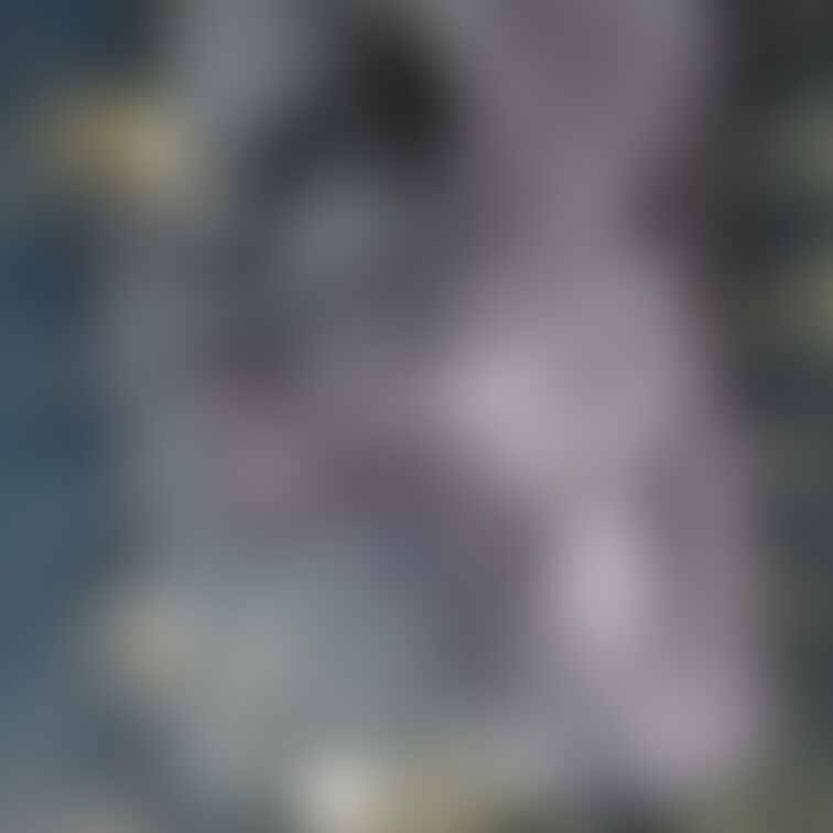 下着プランでは妻が着用した未洗濯のショーツを公開して行きます。
ブランド 不明
フルバック レース付き
色