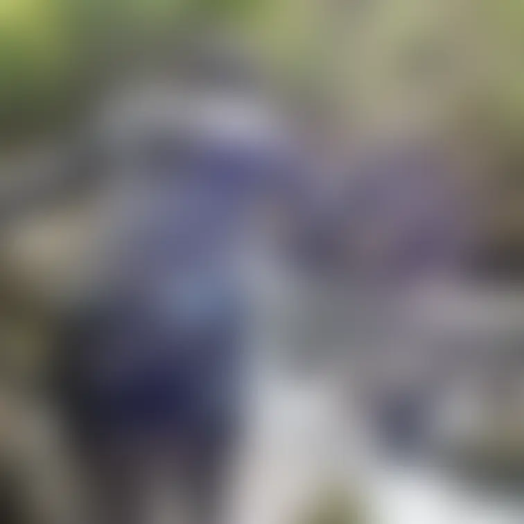 何か見えますか？
