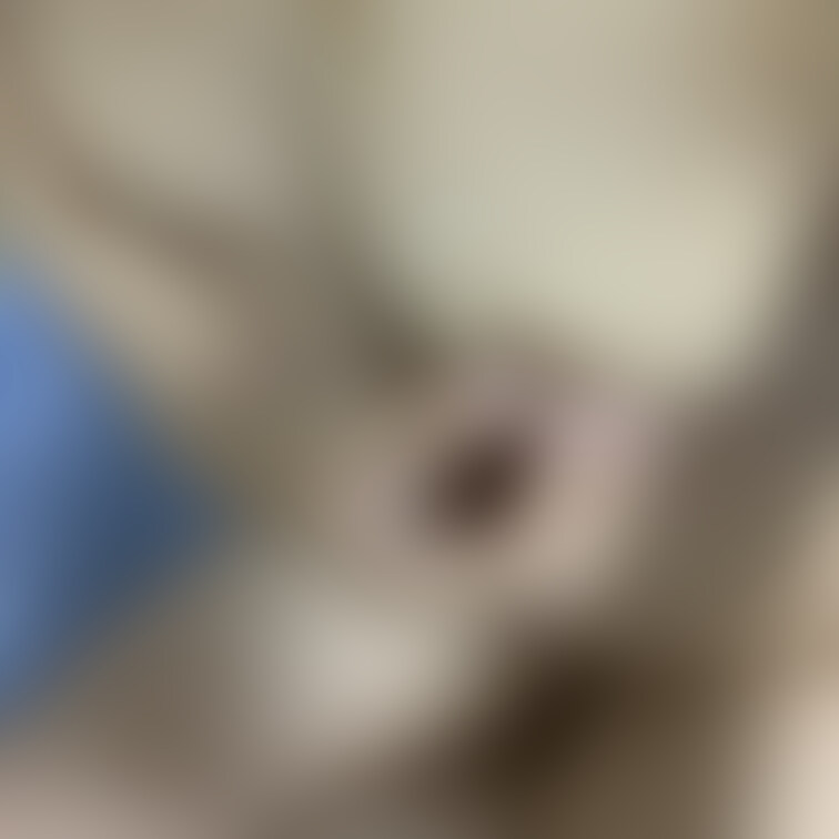 チクニー中のペット