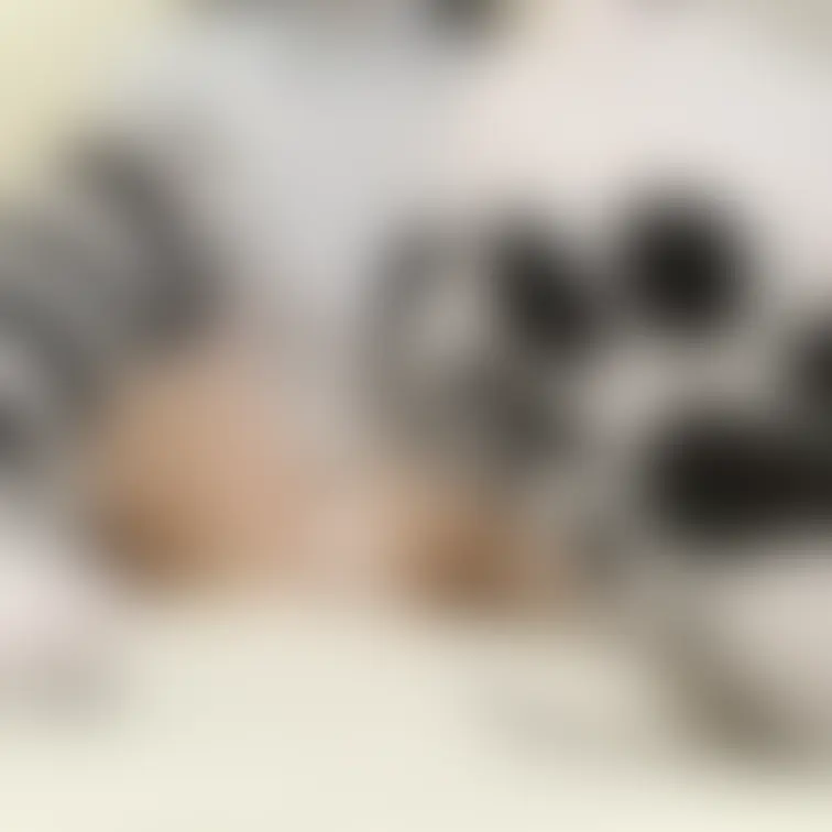 ニャンニーソ🤍