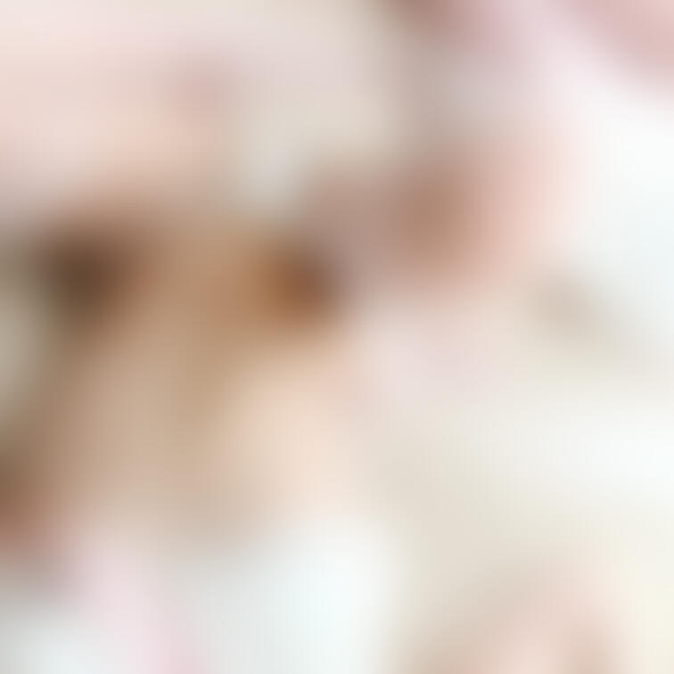 うさぎさん
