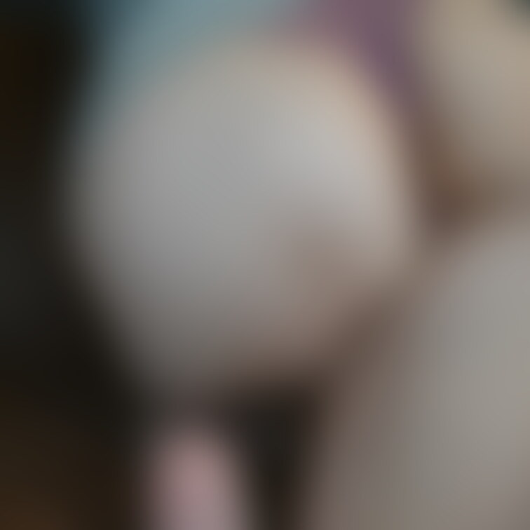 【無料プラン】
Tバックのお尻写真💓💓
 
 おすすめプラン動画↓
 https://myfans.jp/pos