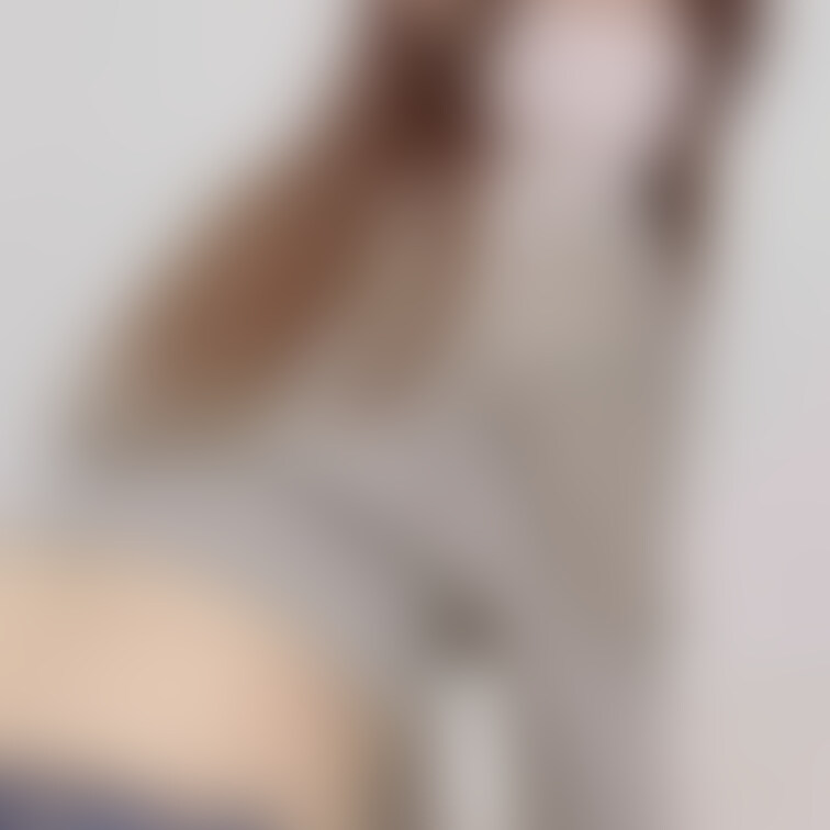 本日8/3投稿動画の画像サンプル