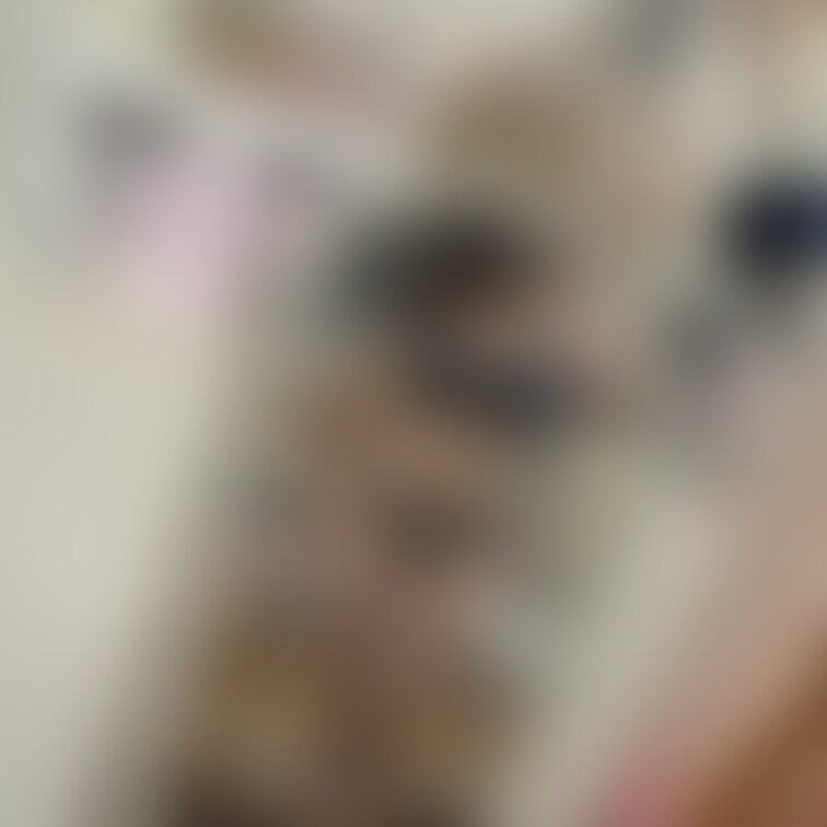 すきすきしてー！🥺