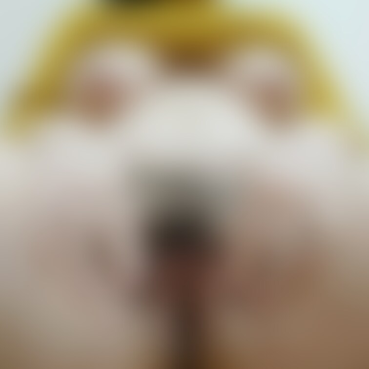この前の動画のオフショット✨
匂いも伝わればいいのに(〃∇〃)🩷