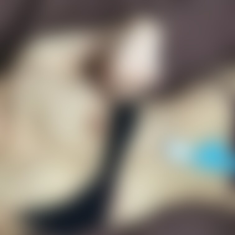 最近の華たん愛用おもちゃ(///_///)

もう少しだけ課題頑張ったら寝るね。
おやすみなさい💞