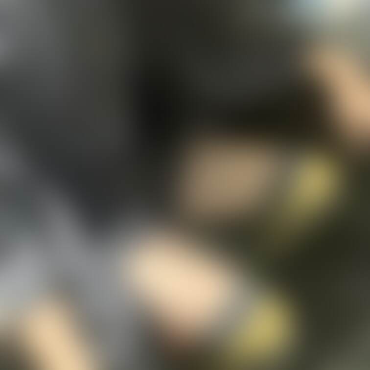 休日のPC前の時の格好_φ(・_・
本当は動画上げる予定だったけど強いモザイク処理でも付いてない外れてる!って判定
