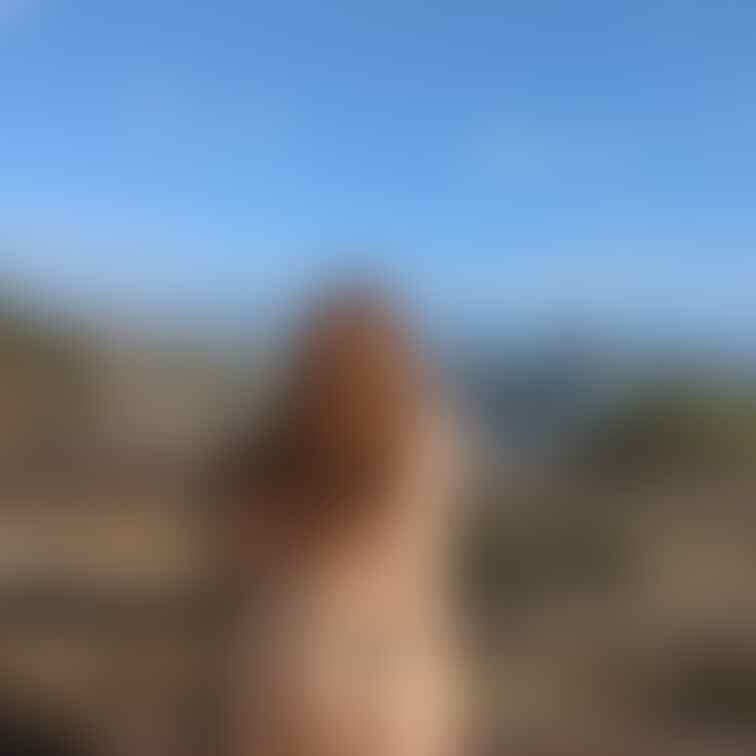 とにかく…プライベートからド変態🍻
散歩されてる方もビックリ💦がん見❗
温かい日は…エロエロMAX💯