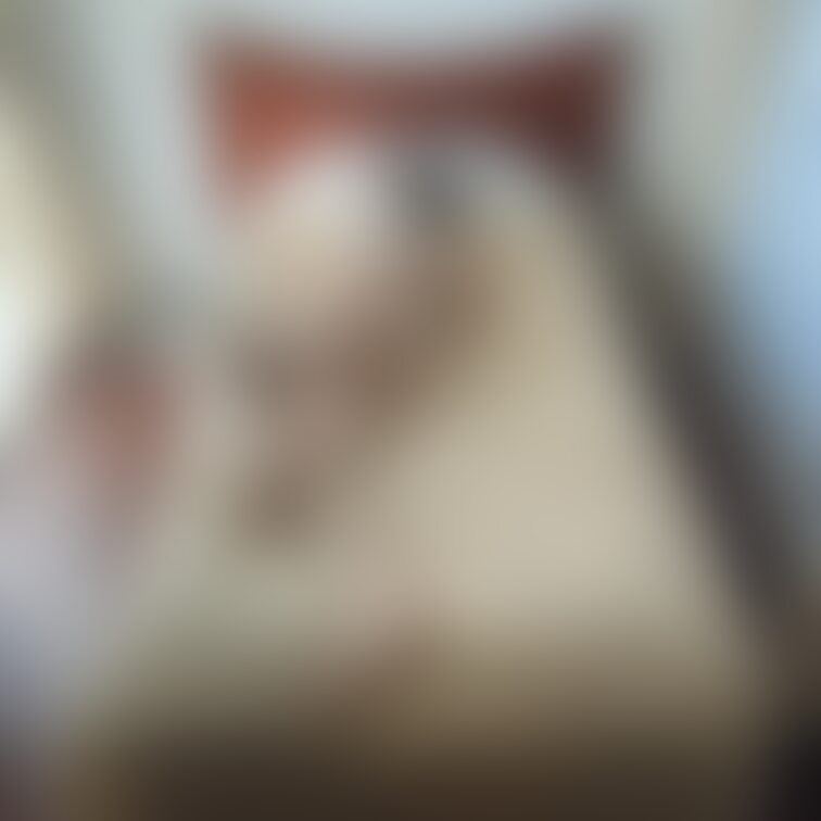 一人でゴロゴロするのは寂しいなぁ♡♡♡
隣に来て欲しいな🥺💕
裸でイチャイチャしよっ❣️😍💕