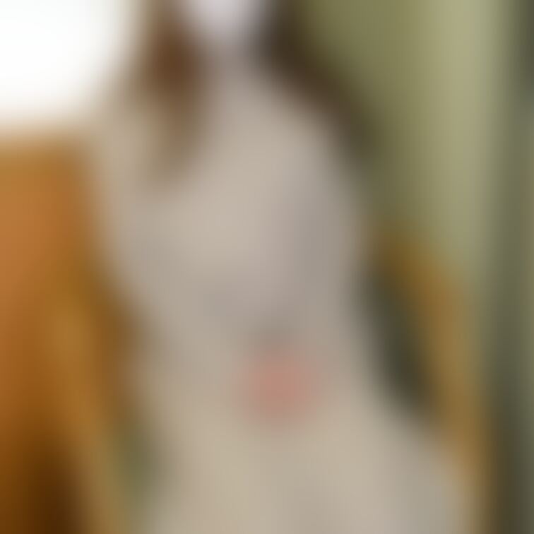 パンスト越しのおぱんちゅ💖
※この画像は無料プラン加入でご覧になれます🎵