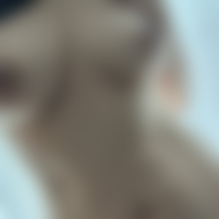 毎日1枚でもここに載せるぞー
色々まだ片付けないことだらけですが……
優しく見守ってね😭