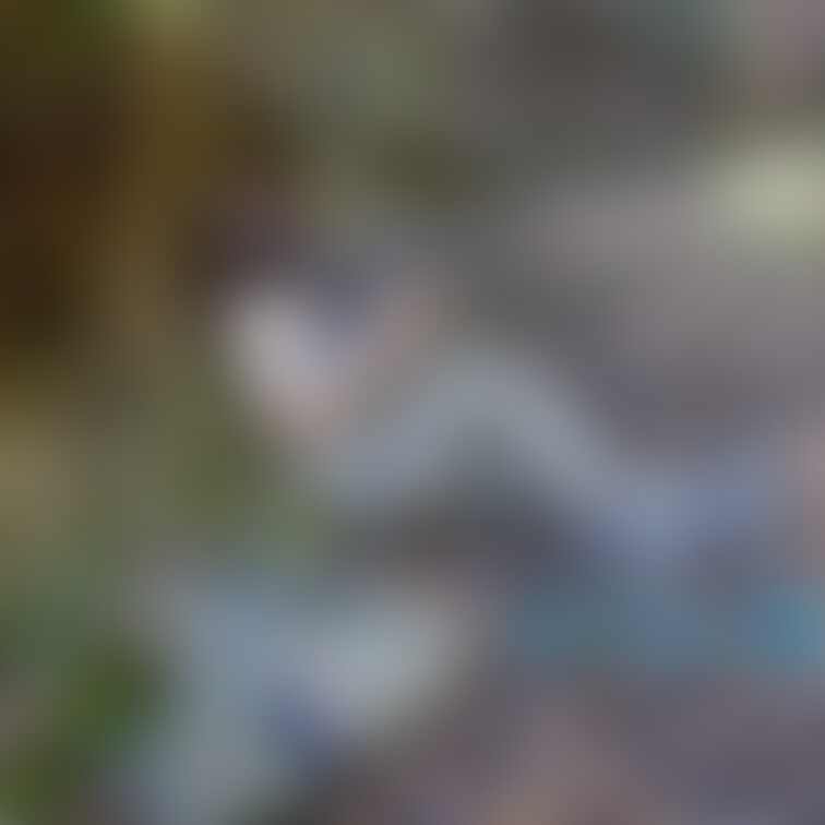 過去の削除写真の再投稿です。(2023年2月投稿)
ミリタリーシリーズ・・・⑧