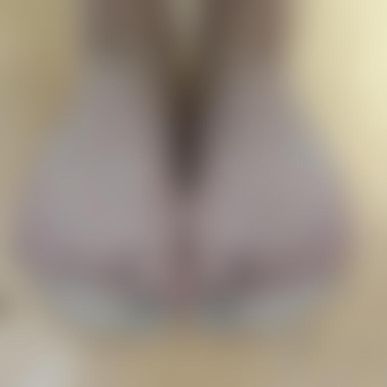 過去画